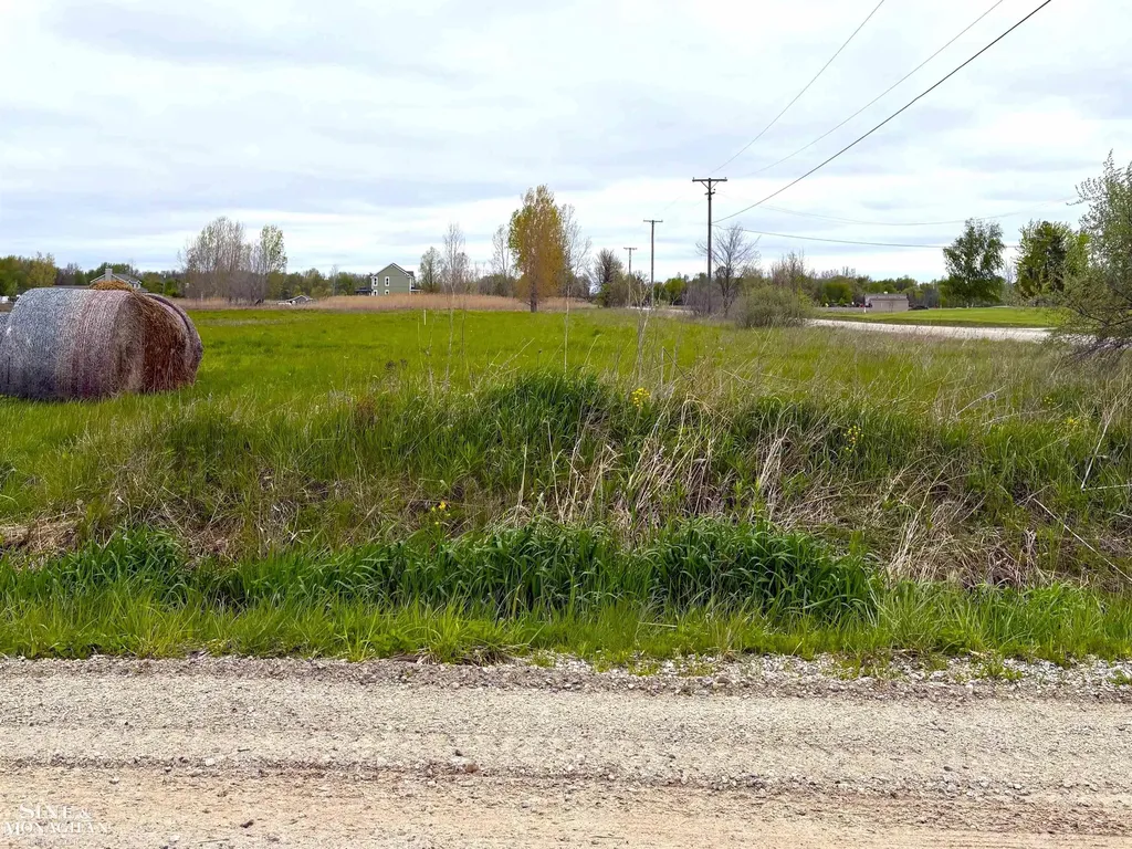 Vacant Hessen Road Columbus Township MI 48063