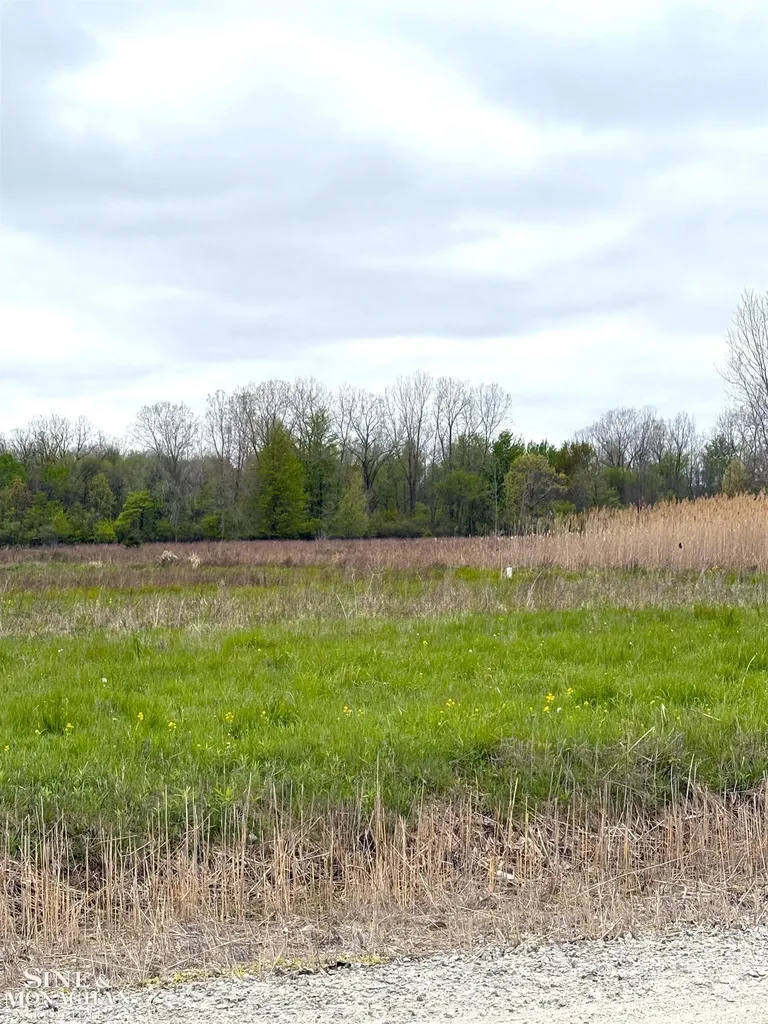 Vacant Hessen Road Columbus Township MI 48063