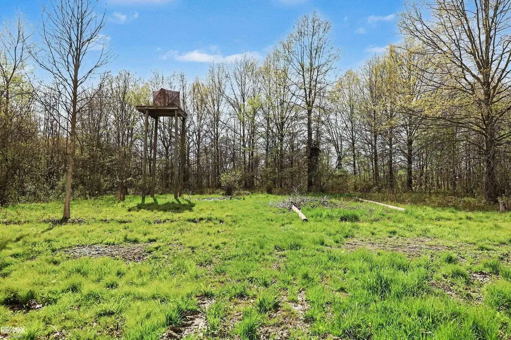 000 Mayer Road Ira Township MI 48023