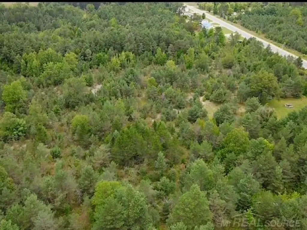 000 Elder. Lot A Road Mancelona Township MI 49659