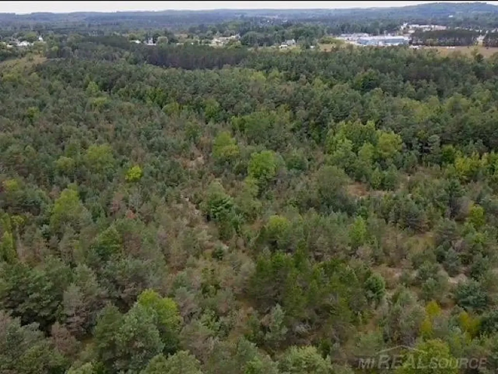 000 Elder. Lot A Road Mancelona Township MI 49659