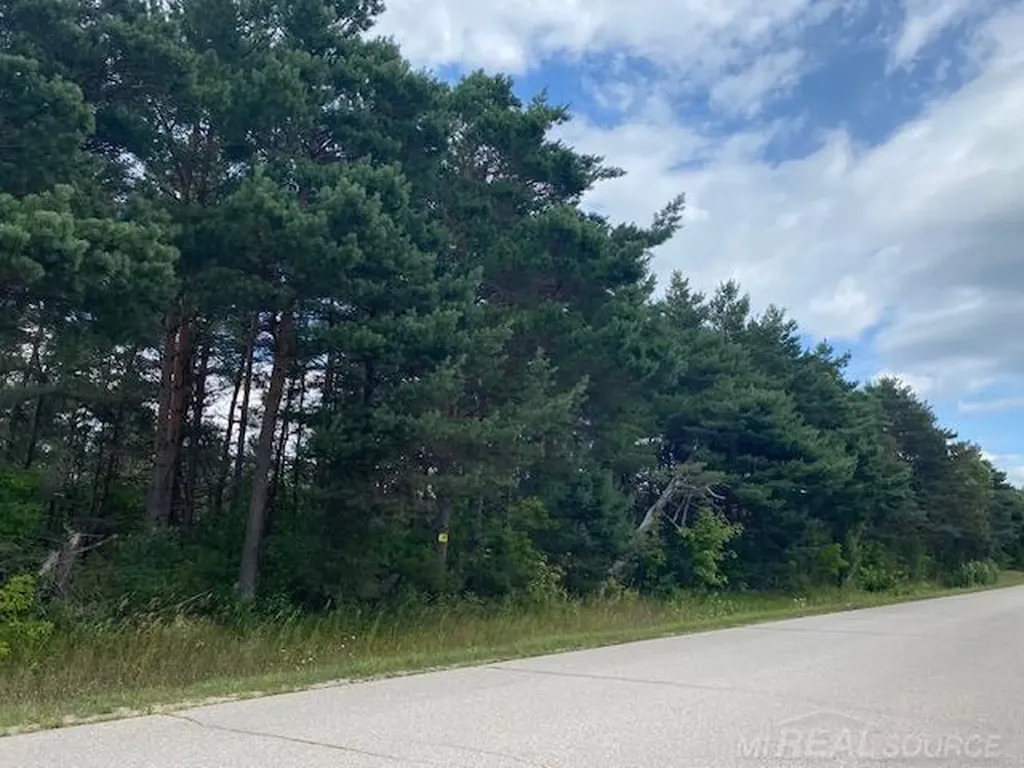 000 Elder. Lot A Road Mancelona Township MI 49659