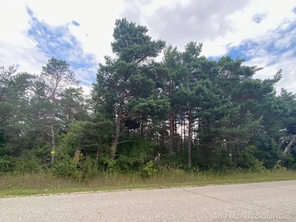 000 Elder. Lot A Road Mancelona Township MI 49659
