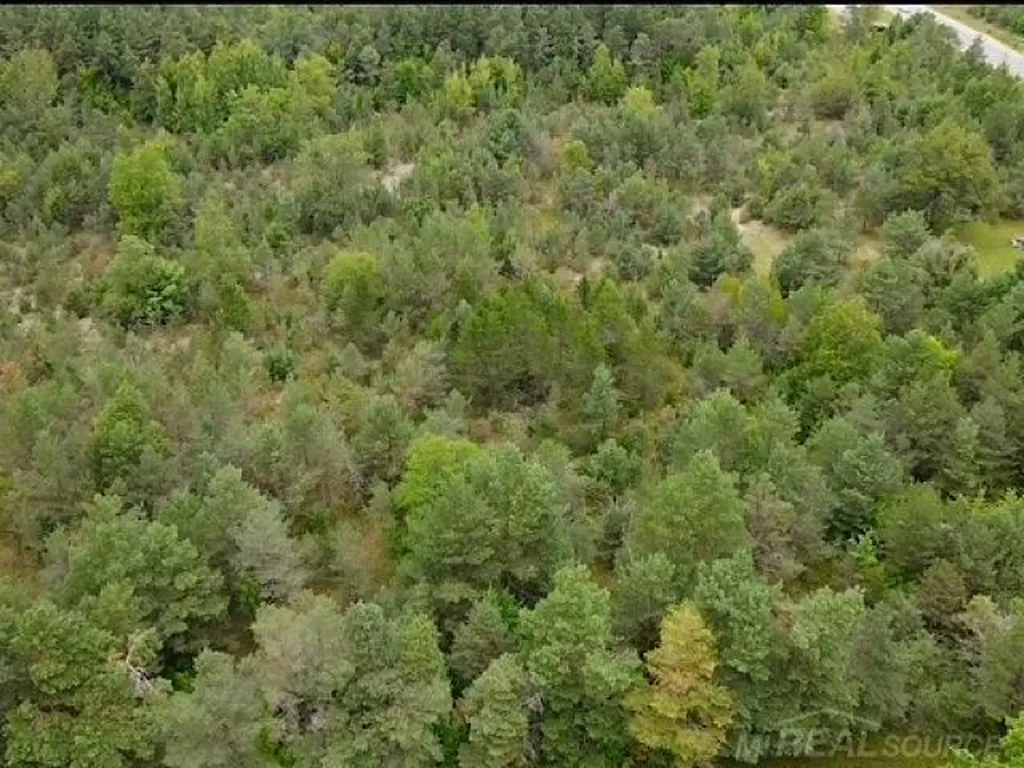 000 Elder. Lot A Road Mancelona Township MI 49659