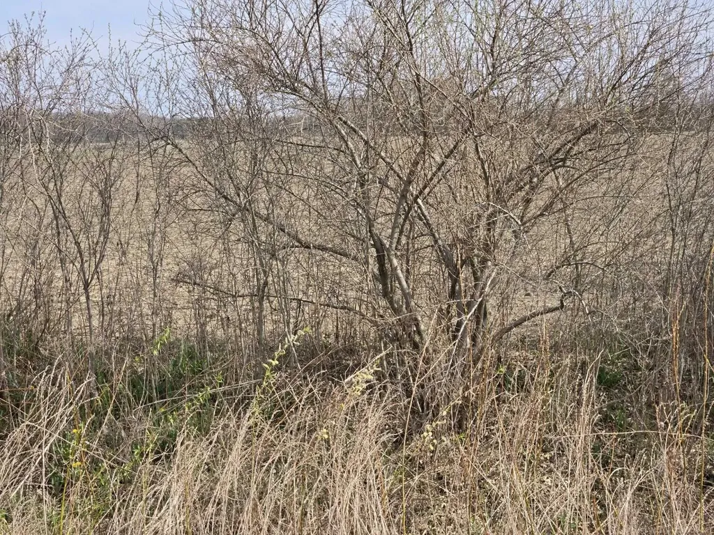 0 Weber (lot A) Road Columbus Township MI 48063