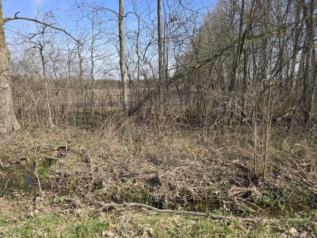 0 Weber (lot A) Road Columbus Township MI 48063