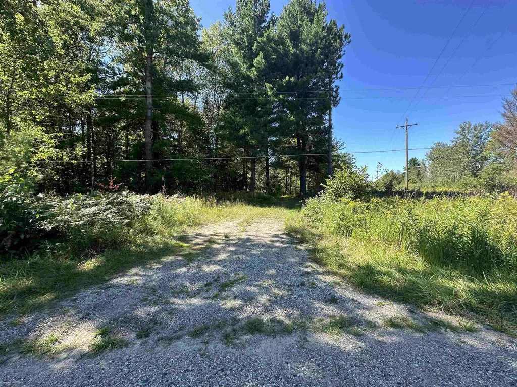 0 Long Lake Road Plainfield Township MI 48739