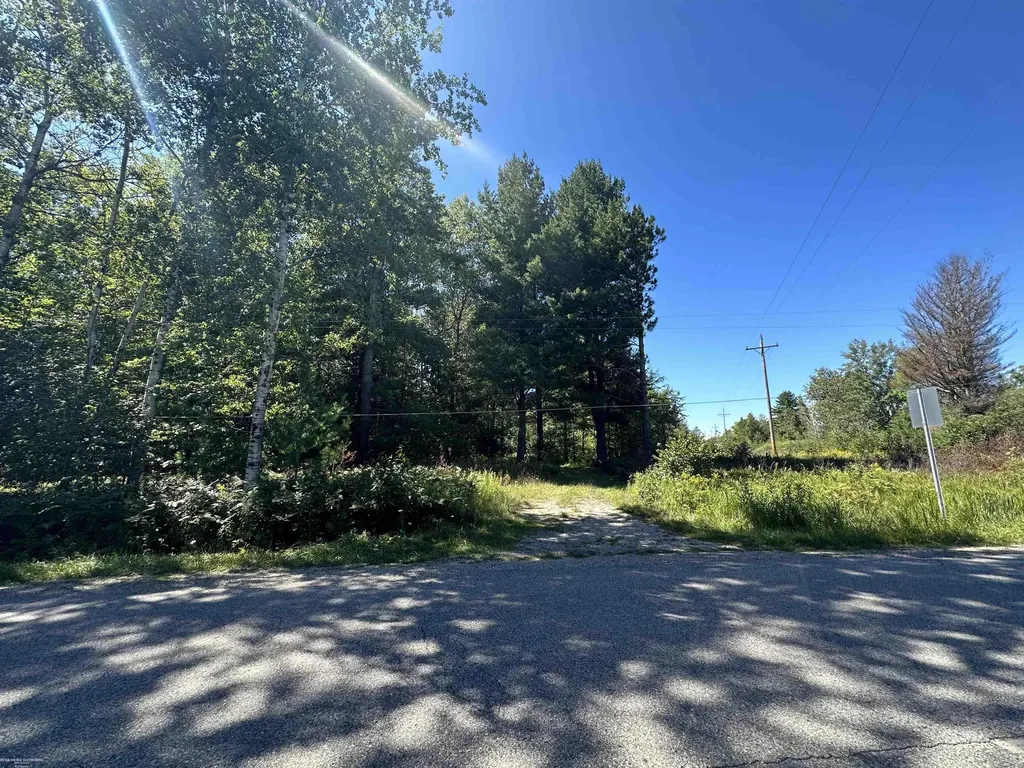 0 Long Lake Road Plainfield Township MI 48739