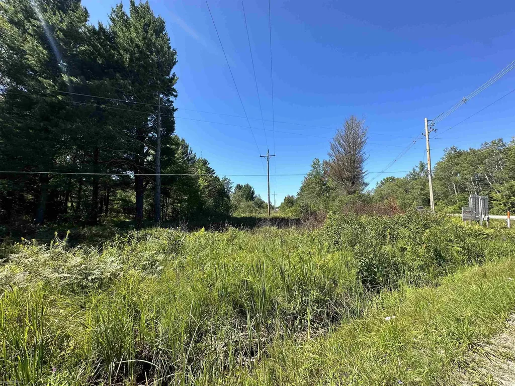 0 Long Lake Road Plainfield Township MI 48739