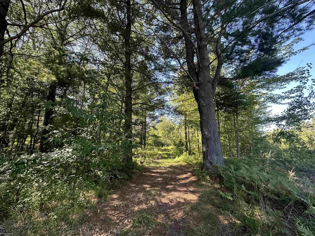 0 Long Lake Road Plainfield Township MI 48739