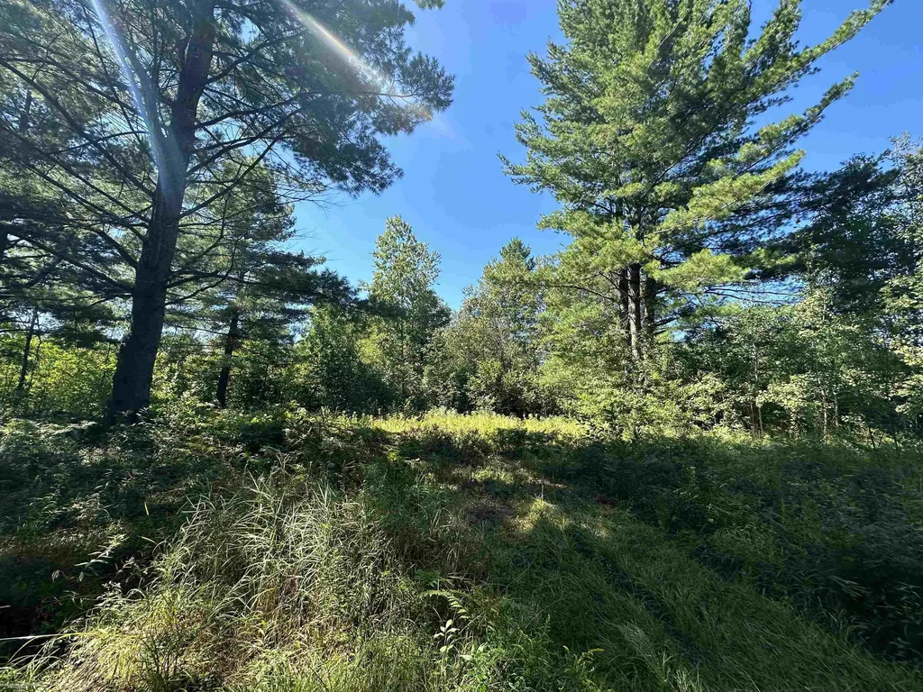 0 Long Lake Road Plainfield Township MI 48739