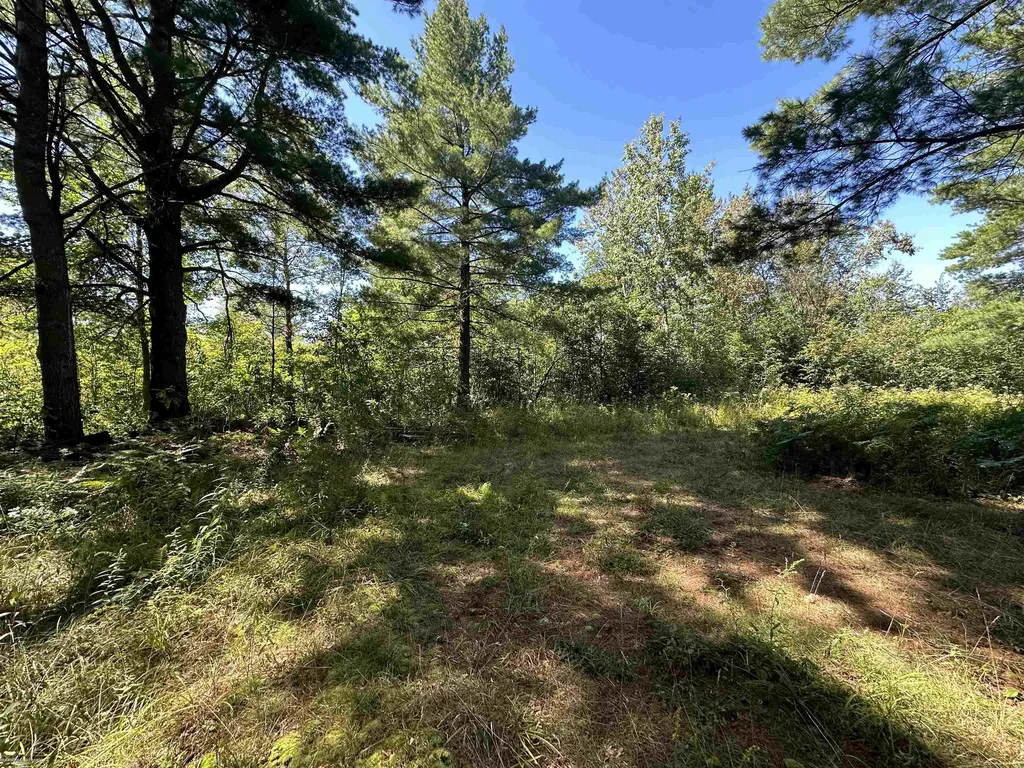 0 Long Lake Road Plainfield Township MI 48739