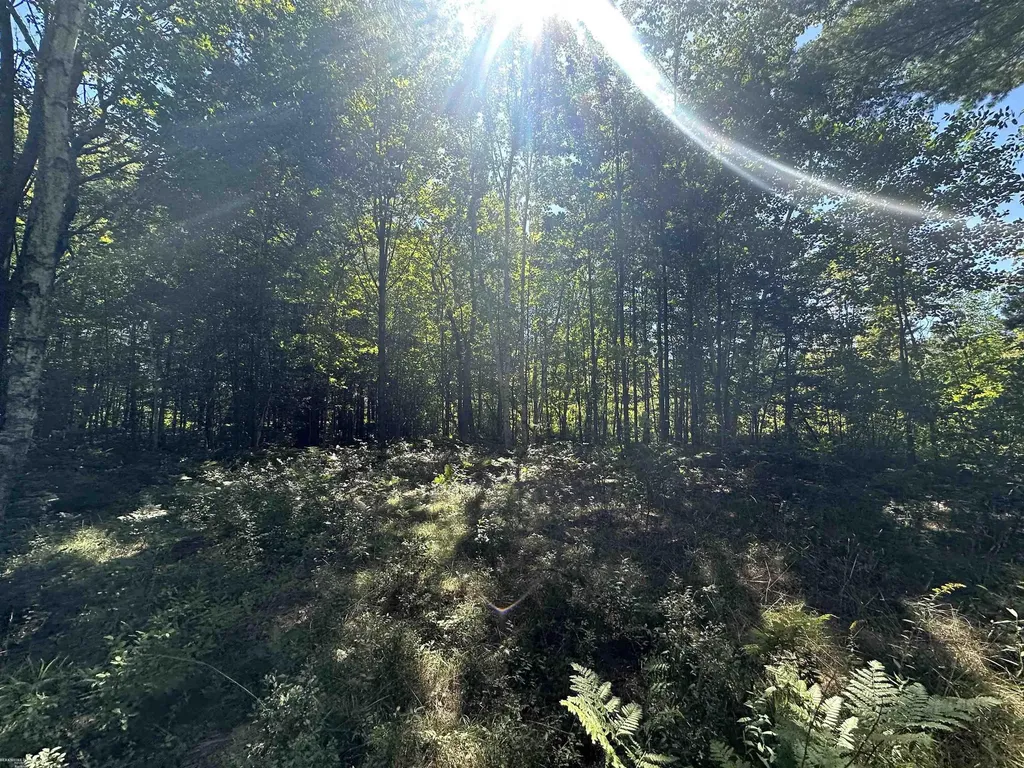 0 Long Lake Road Plainfield Township MI 48739