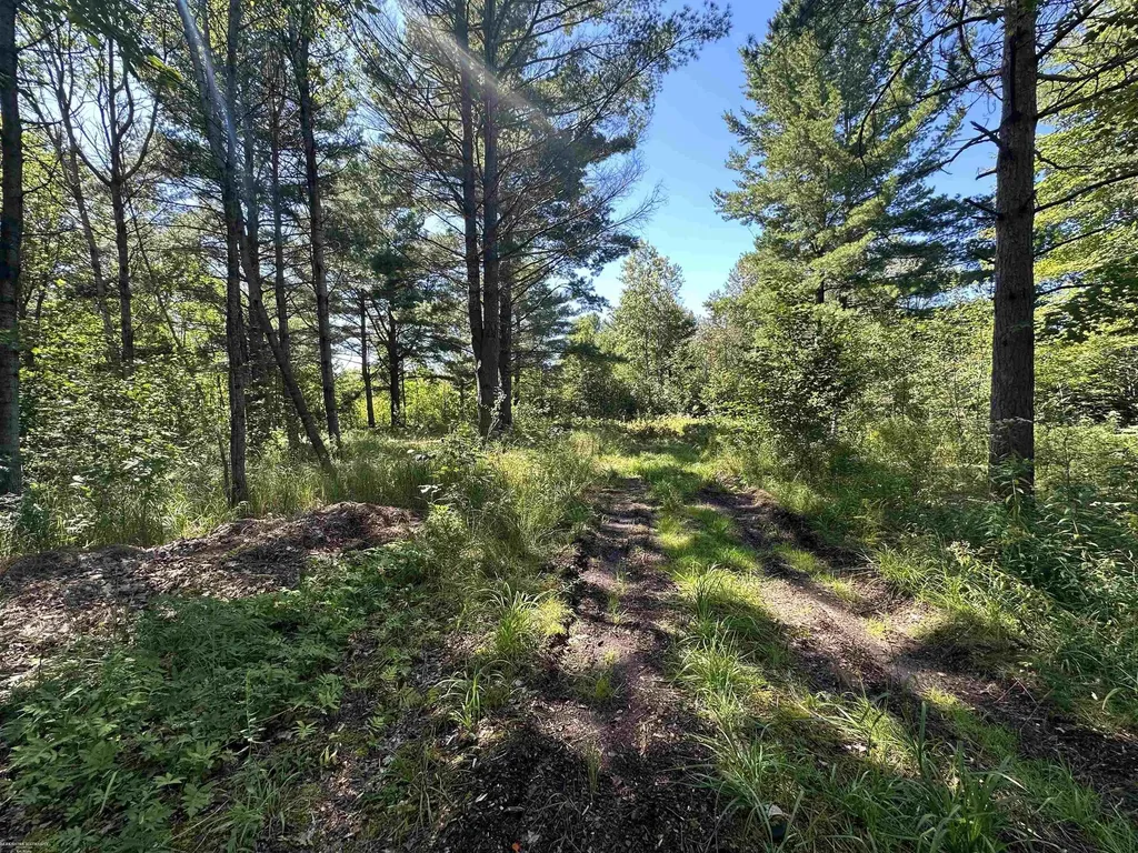 0 Long Lake Road Plainfield Township MI 48739