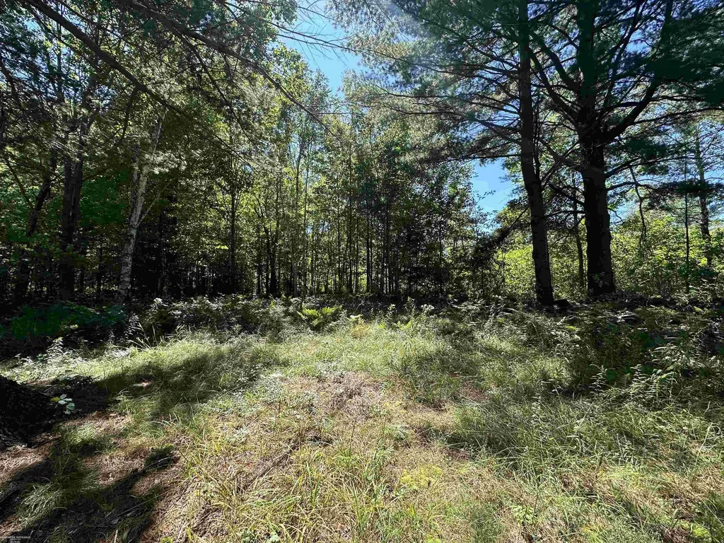 0 Long Lake Road Plainfield Township MI 48739