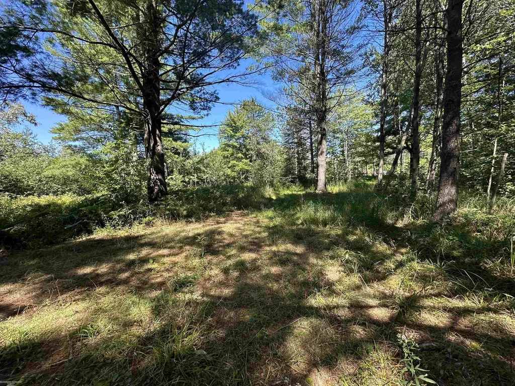 0 Long Lake Road Plainfield Township MI 48739