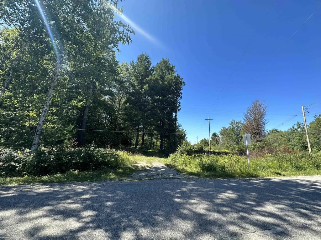 0 Long Lake Road Plainfield Township MI 48739