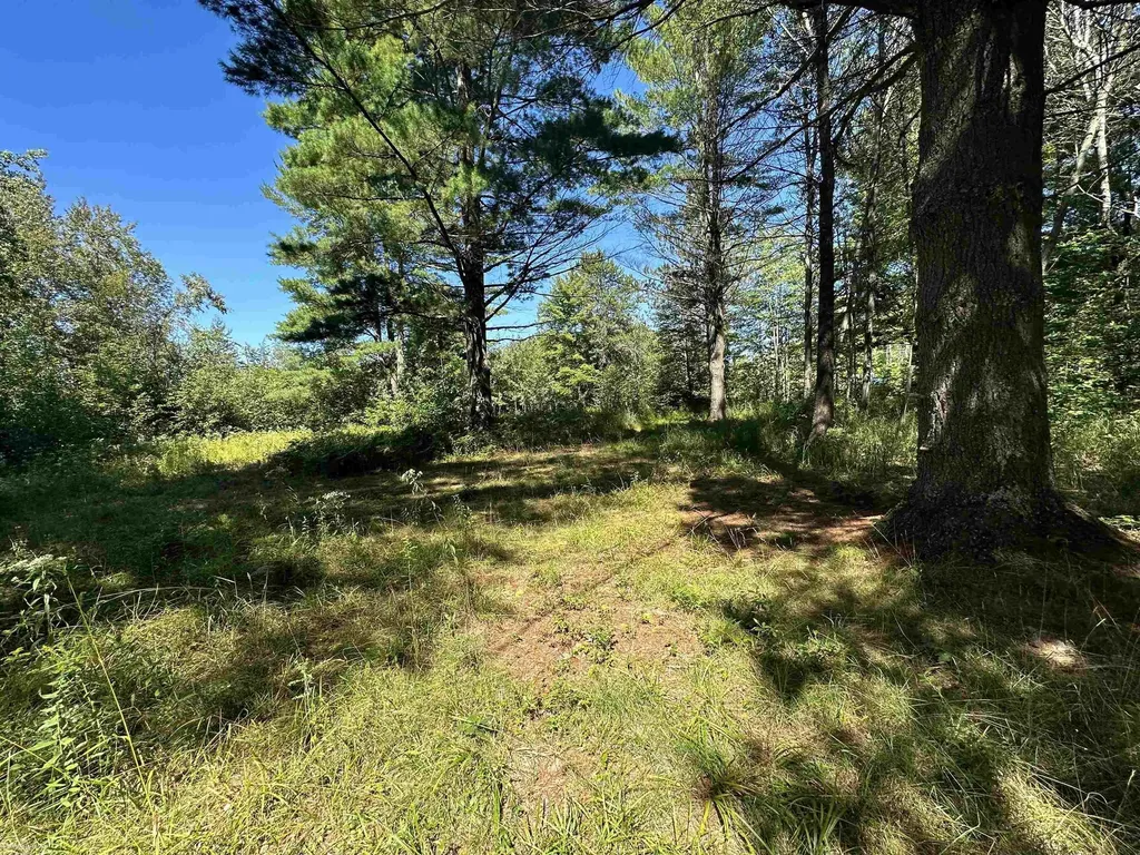 0 Long Lake Road Plainfield Township MI 48739