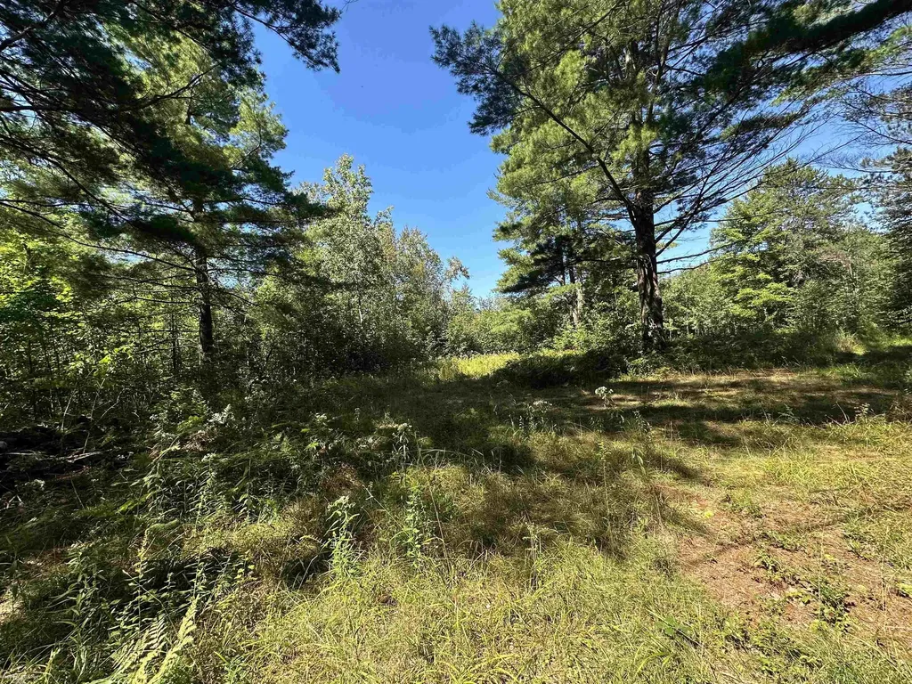 0 Long Lake Road Plainfield Township MI 48739