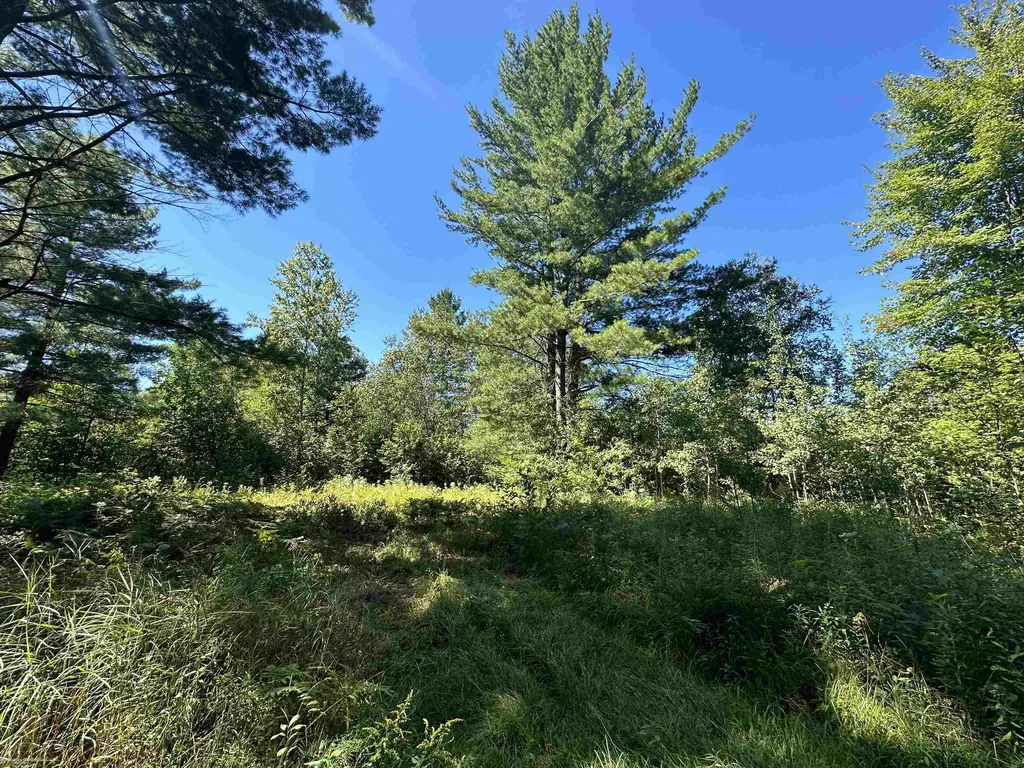 0 Long Lake Road Plainfield Township MI 48739
