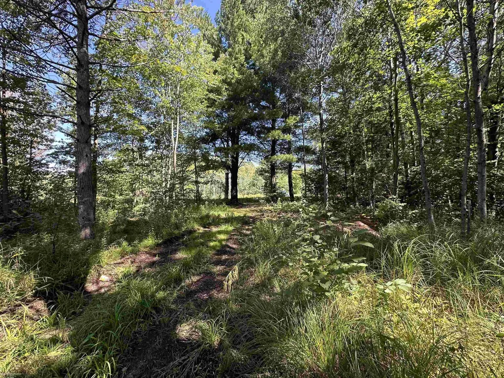 0 Long Lake Road Plainfield Township MI 48739