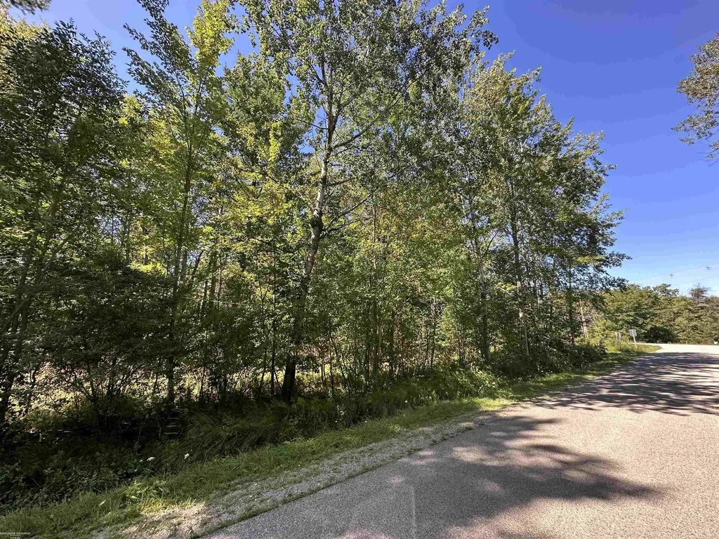 0 Long Lake Road Plainfield Township MI 48739