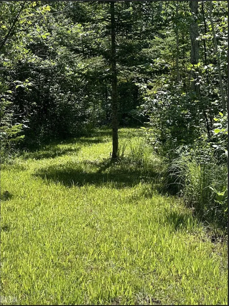 16865 Grace Harbor Road Millersburg Village MI 49759