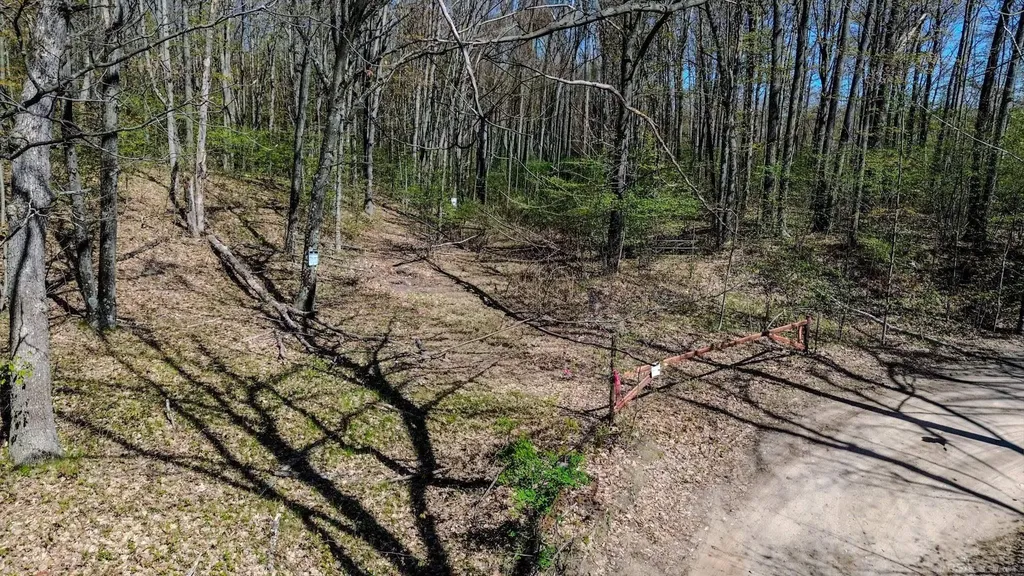 00 Woodsway Drive Hamilton Township MI 48625