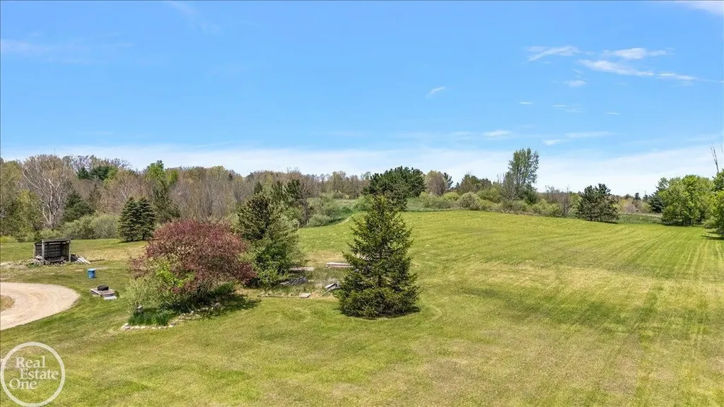 3219 Newark Road Attica Township MI 48412