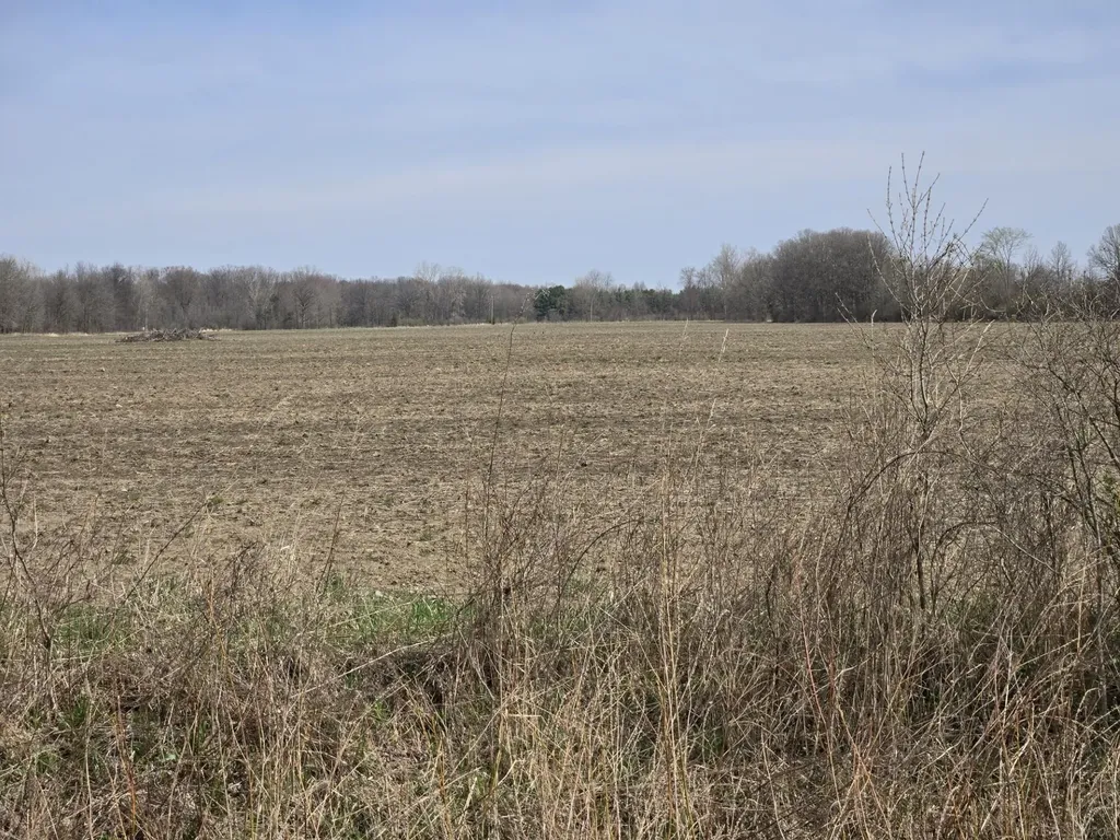 0 Weber (lot B) Road Columbus Township MI 48063