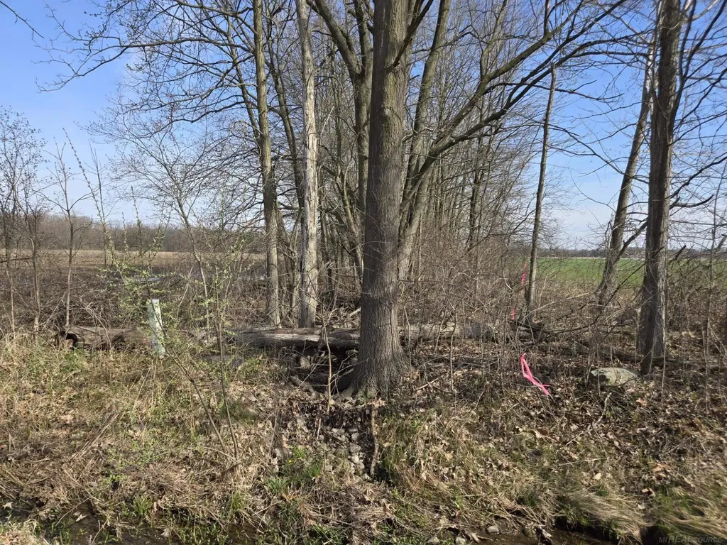 0 Weber (lot B) Road Columbus Township MI 48063