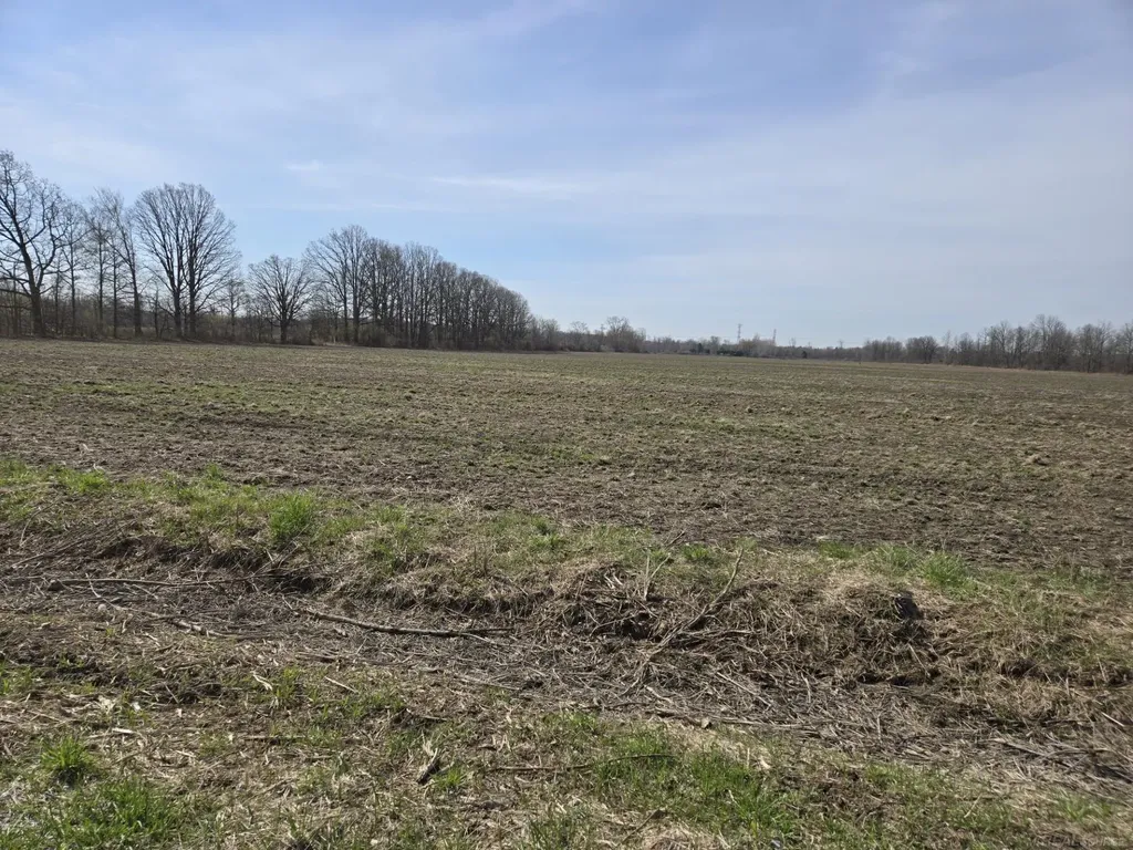 0 Weber (lot B) Road Columbus Township MI 48063