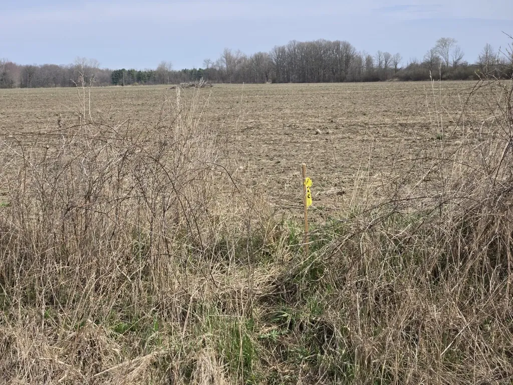 0 Weber (lot C) Road Columbus Township MI 48063