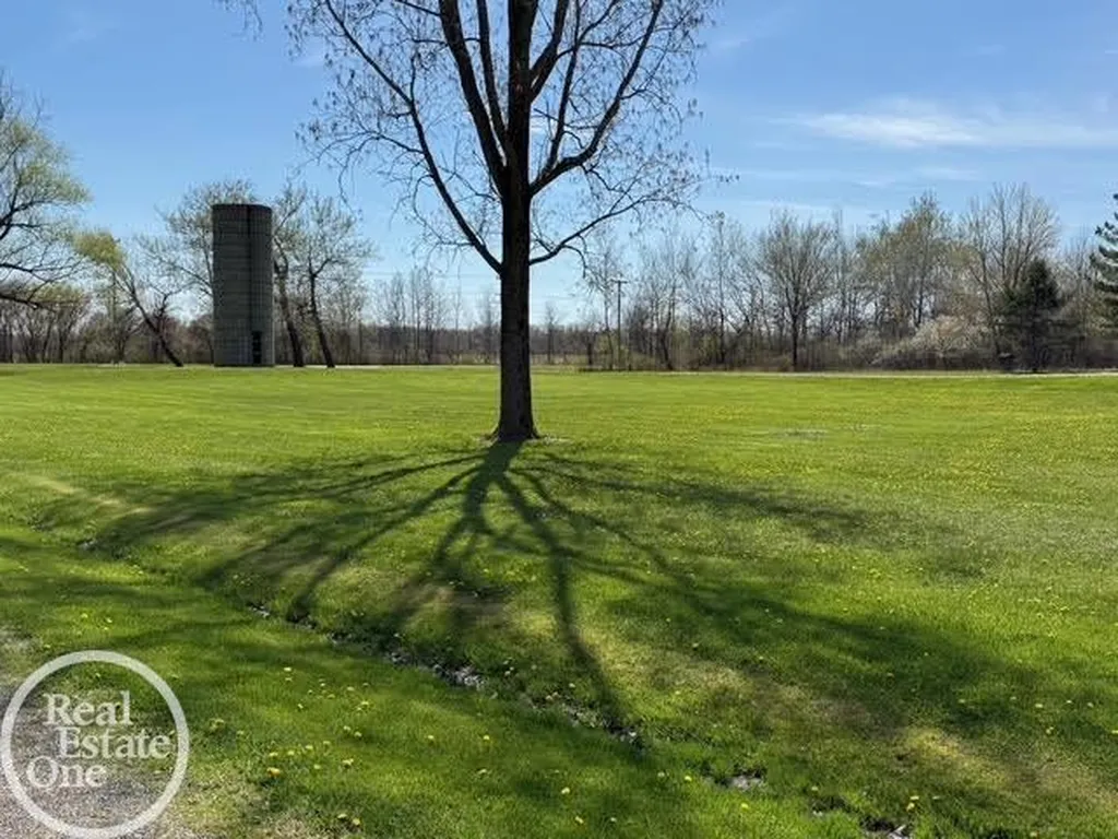 15594 Bryce Road Mussey Township MI 48014
