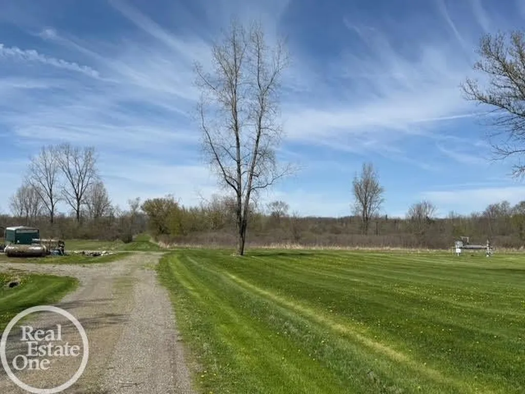15594 Bryce Road Mussey Township MI 48014