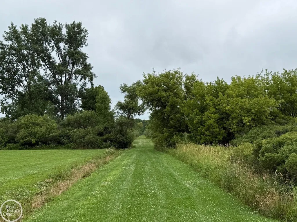 15594 Bryce Road Mussey Township MI 48014