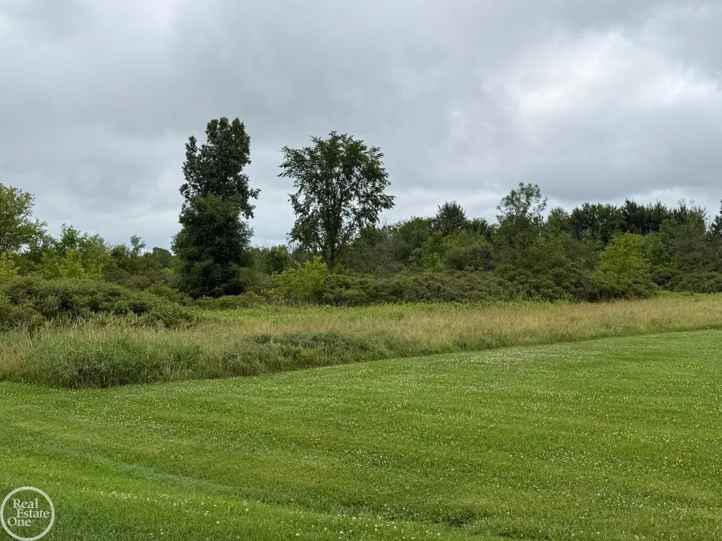 15594 Bryce Road Mussey Township MI 48014