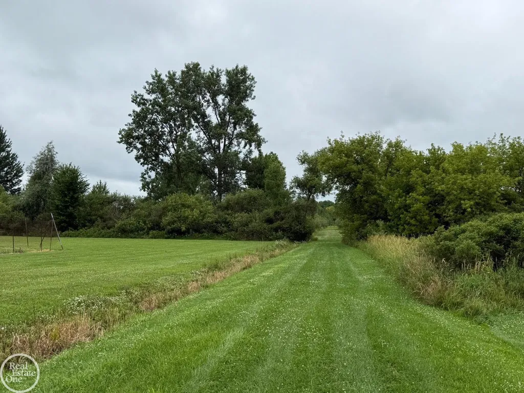 15594 Bryce Road Mussey Township MI 48014