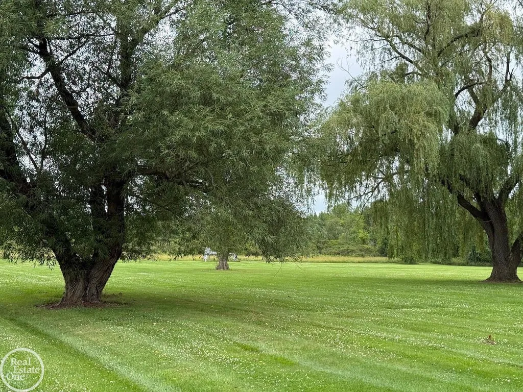 15594 Bryce Road Mussey Township MI 48014