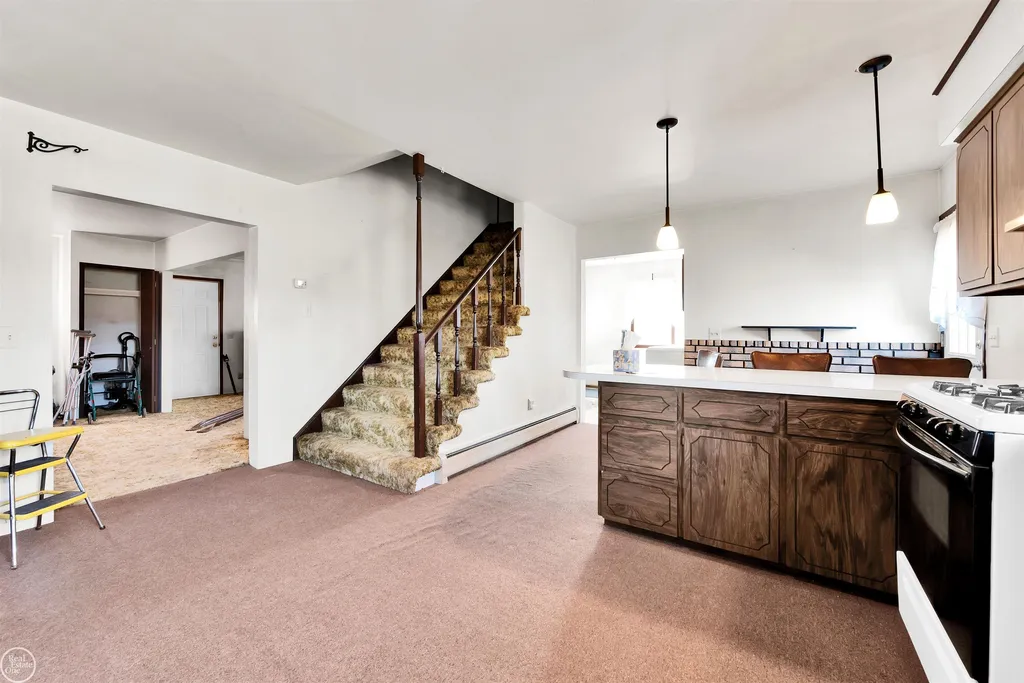 15594 Bryce Road Mussey Township MI 48014