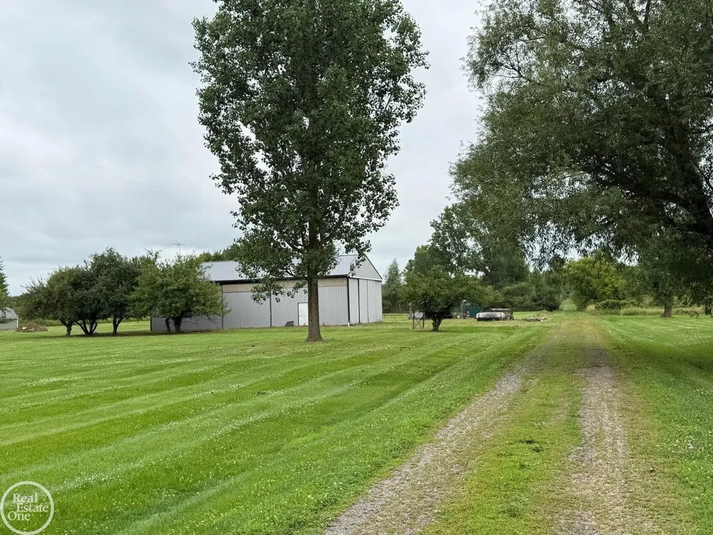 15594 Bryce Road Mussey Township MI 48014