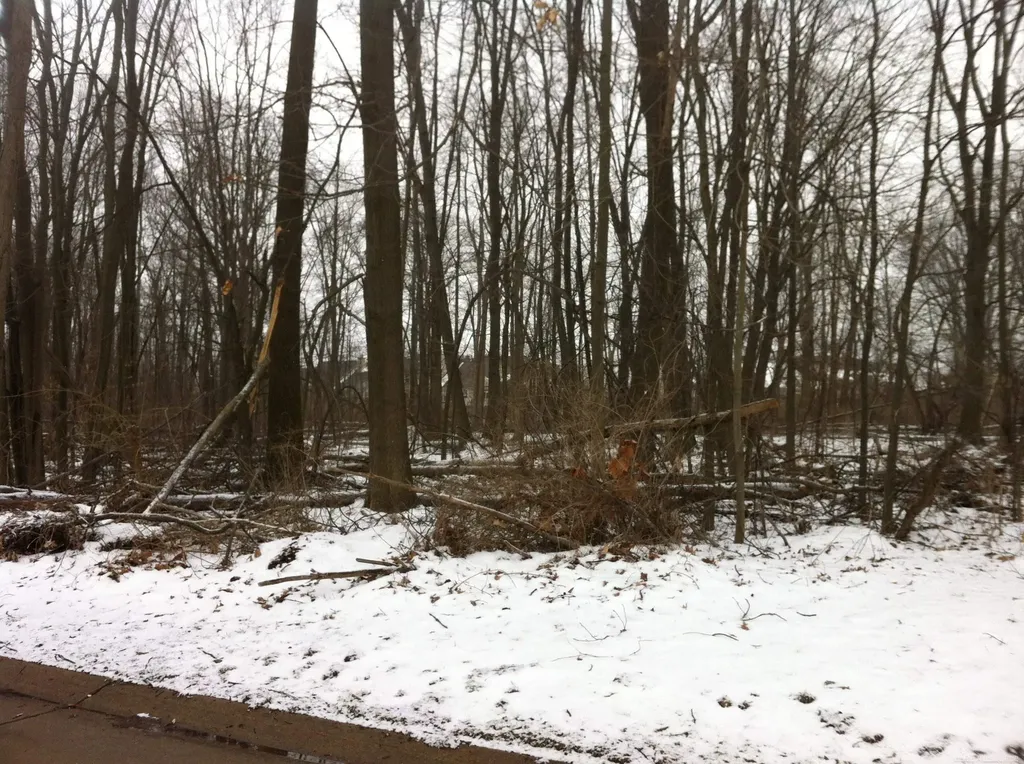 0 Waldo Road Troy City MI 48085