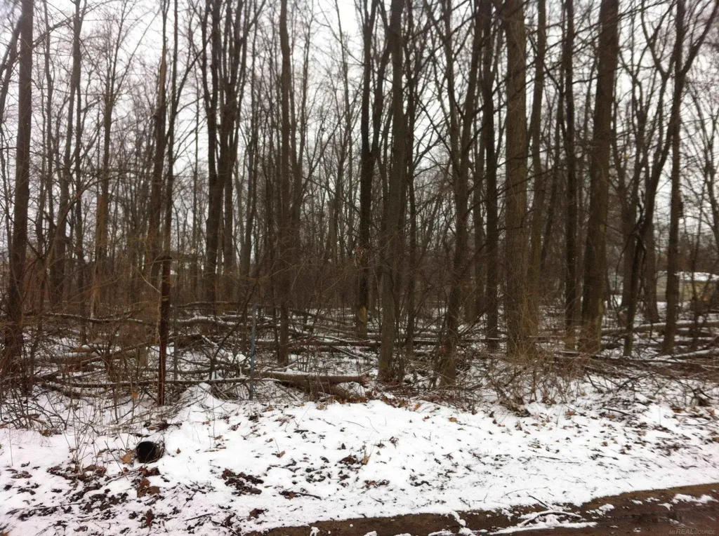 0 Waldo Road Troy City MI 48085