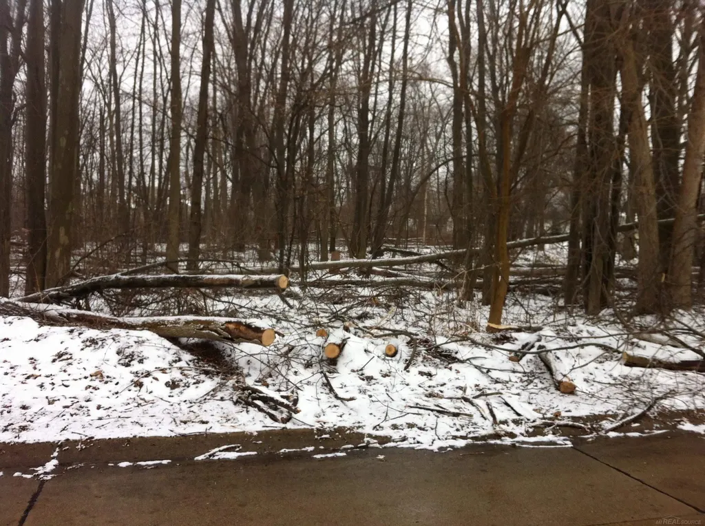 0 Waldo Road Troy City MI 48085