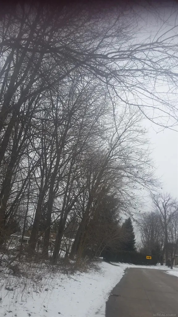 0 Waldo Road Troy City MI 48085