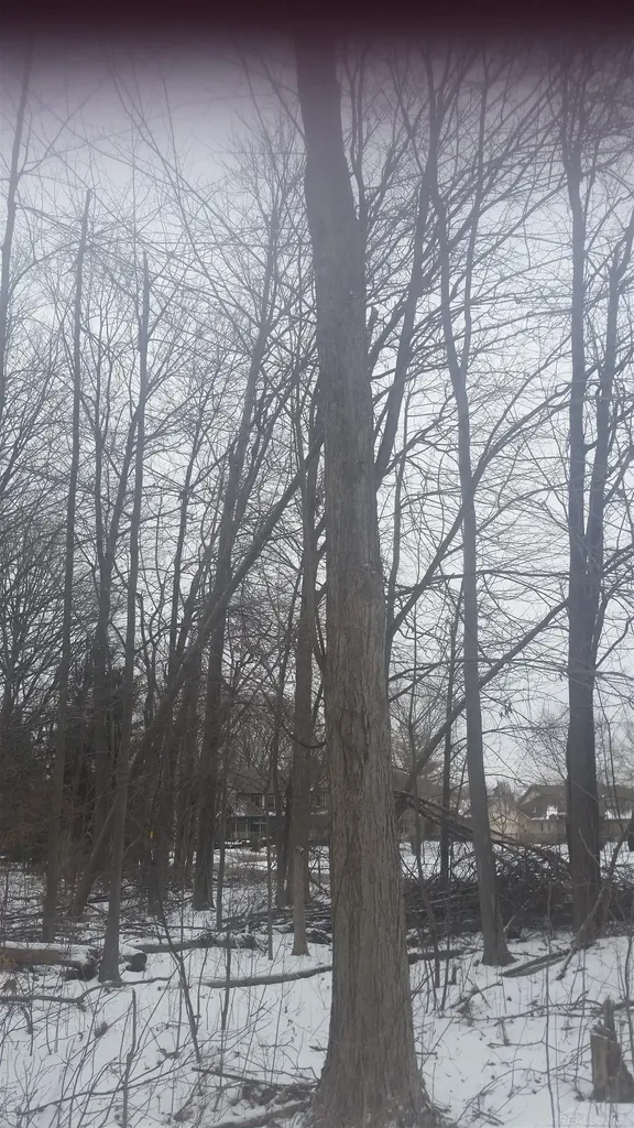 0 Waldo Road Troy City MI 48085
