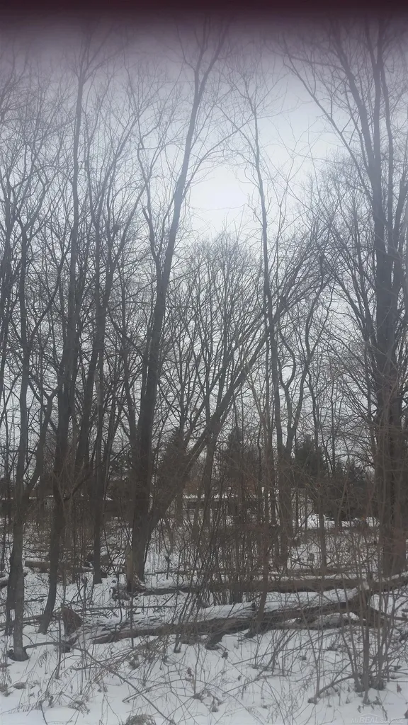 0 Waldo Road Troy City MI 48085