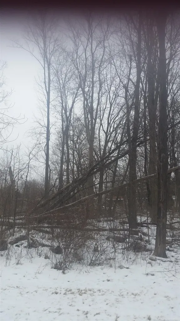 0 Waldo Road Troy City MI 48085
