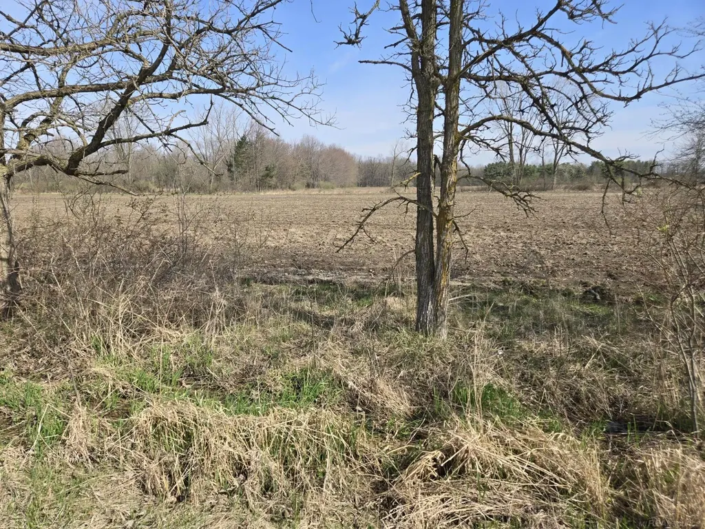 0 Weber (lot A) Road Columbus Township MI 48063