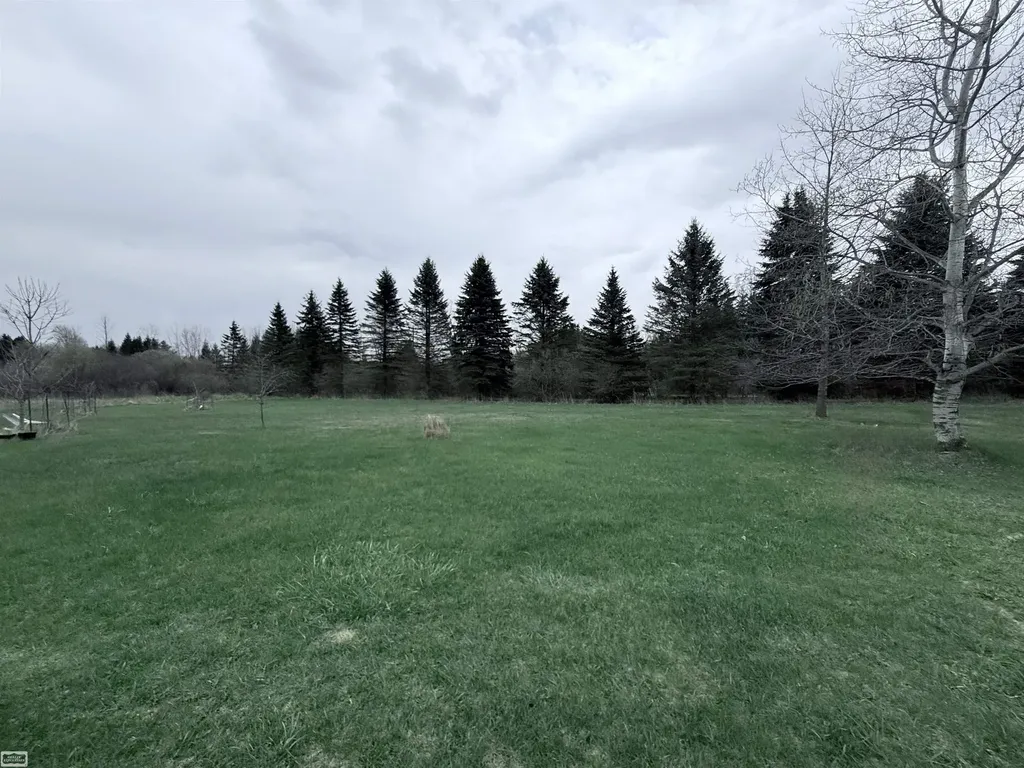 7285 Mayville Road Tuscola Township MI 48453